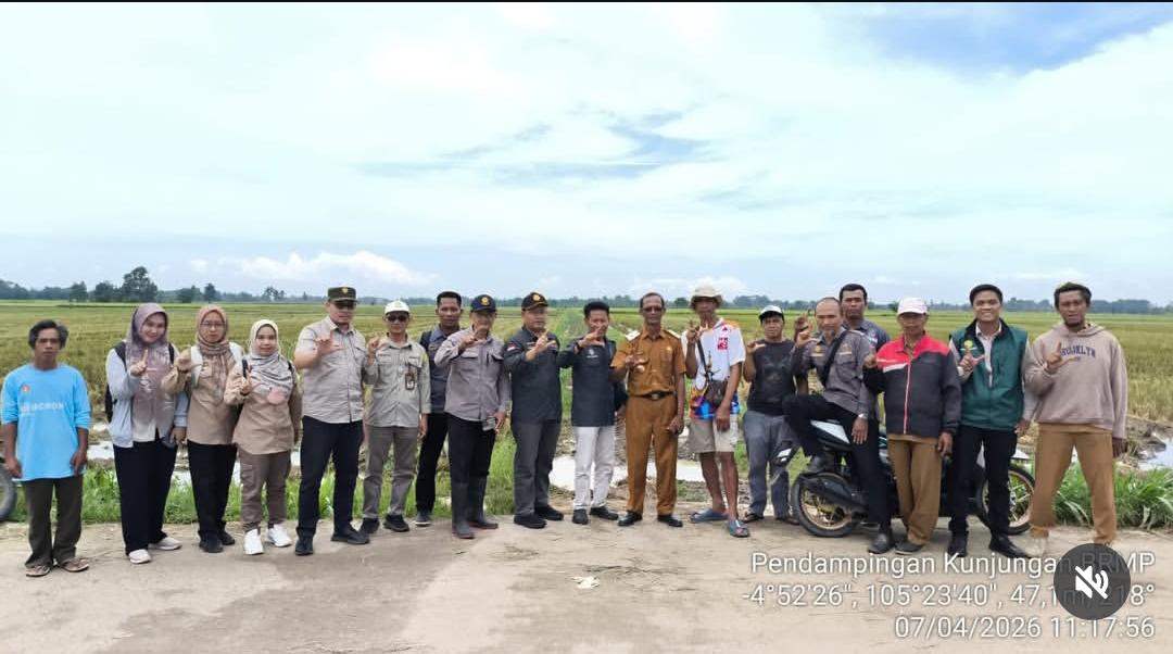 Pelaksanaan Program tanam padi dengan metode ARKANSA di Kecamatan Seputih Raman, Lampung Tengah